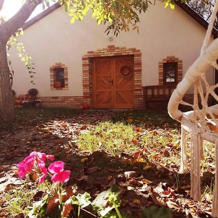 Apartmán Goher Pince Es Vendeghaz Csaszartoltes Exteriér fotografie